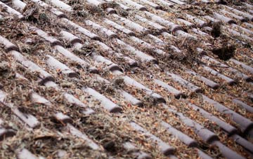 Baltilly roof cleaning companies