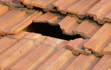 roof repair Baltilly, Fife