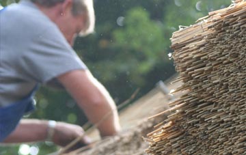 professional Baltilly thatchers